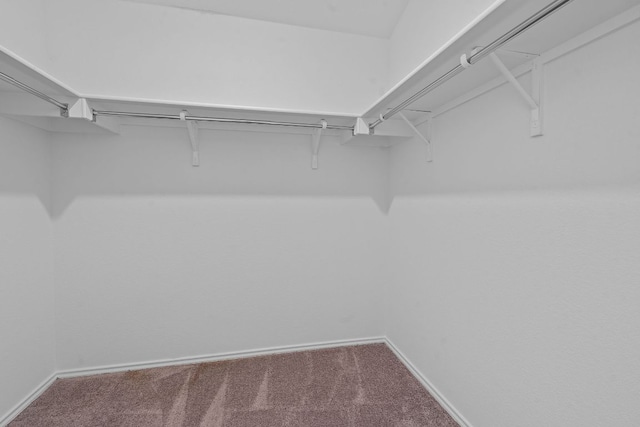 195 Azure Cv, Kyle, TX 78640 - spacious closet featuring carpet flooring