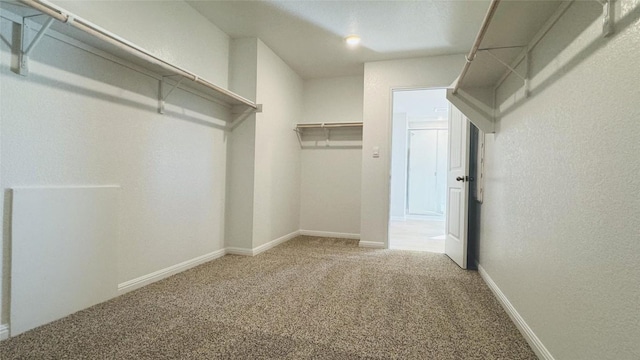188 Grey Slate Ave, Marble Falls, TX 78654 - spacious closet featuring carpet floors