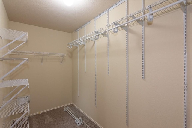 1811 Sand Creek Rd, Cedar Park, TX 78613 - spacious closet with carpet