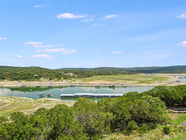 17545 E Reed Parks Rd Unit 5, Jonestown, TX 78645 - water view