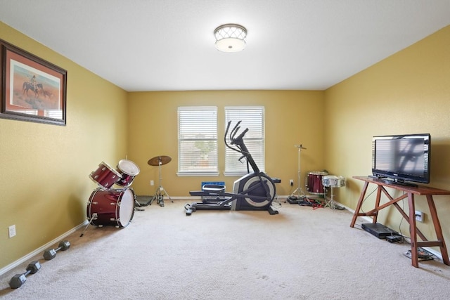 108 Marcheeta Way, Leander, TX 78641 - workout room with carpet flooring and baseboards