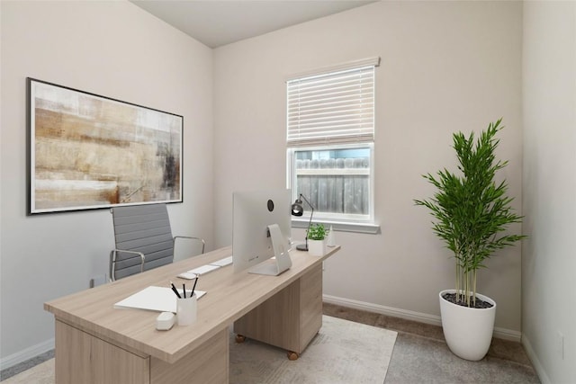 310 Spiny Lizard Ln, San Marcos, TX 78666 - home office with baseboards and light carpet