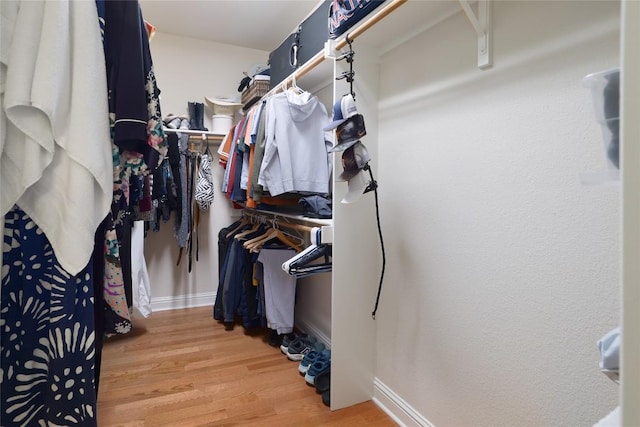 6305 Carrington Dr, Austin, TX 78749 - walk in closet featuring light wood-style floors