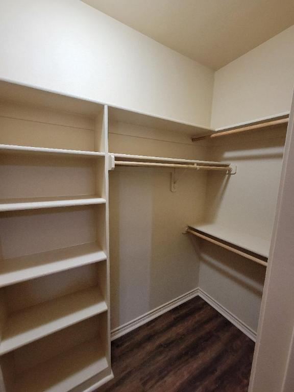 409 Study Hall Loop, Killeen, TX 76549 - photo 21