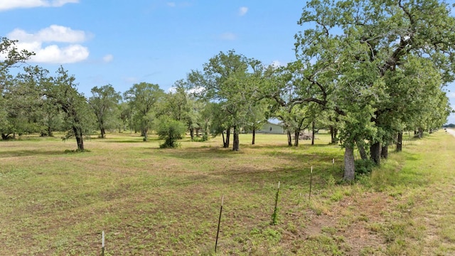 3434 Prairie Lea Rd, Kingsbury, TX 78638 - view of local wilderness