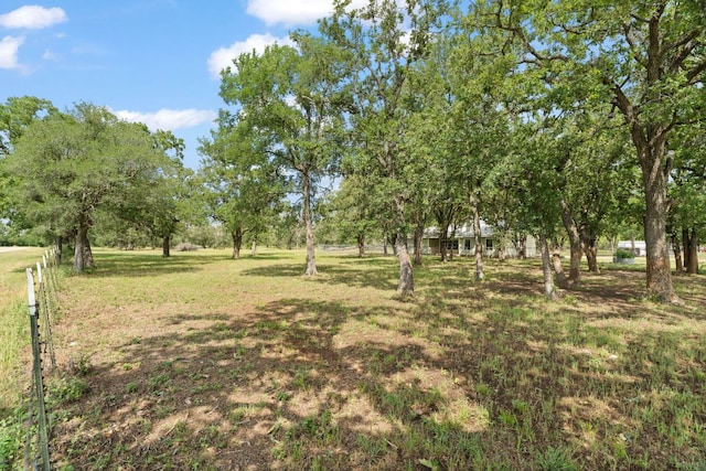 3434 Prairie Lea Rd, Kingsbury, TX 78638 - view of green lawn