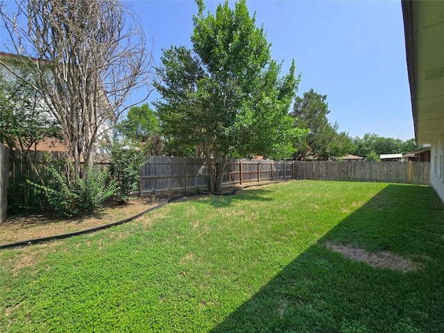 9403 Tea Rose Trl, Austin, TX 78748 - view of yard