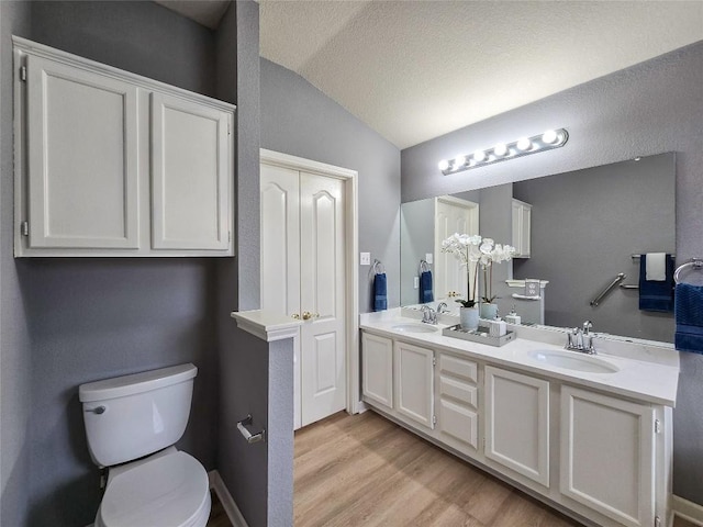9403 Tea Rose Trl, Austin, TX 78748 - full bath featuring lofted ceiling, double vanity, wood finished floors, toilet, and a textured ceiling