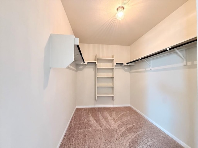 110 Carbine Ct, Bastrop, TX 78602 - walk in closet with carpet