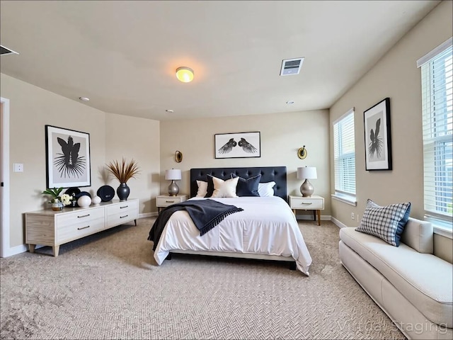 110 Carbine Ct, Bastrop, TX 78602 - carpeted bedroom featuring multiple windows and baseboards