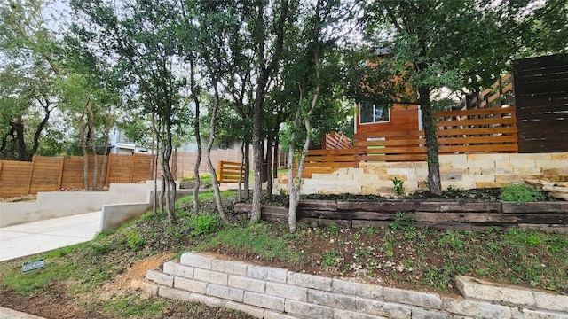 1134 Lott Ave, Austin, TX 78721 - view of yard