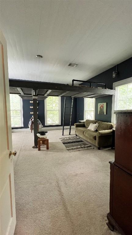 636 Franklin St S, La Grange, TX 78945 - carpeted living room featuring plenty of natural light