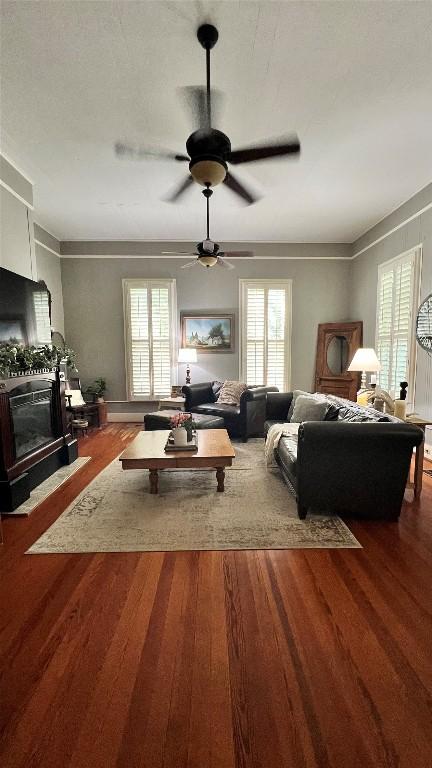 636 Franklin St S, La Grange, TX 78945 - living room with plenty of natural light, wood finished floors, and a ceiling fan