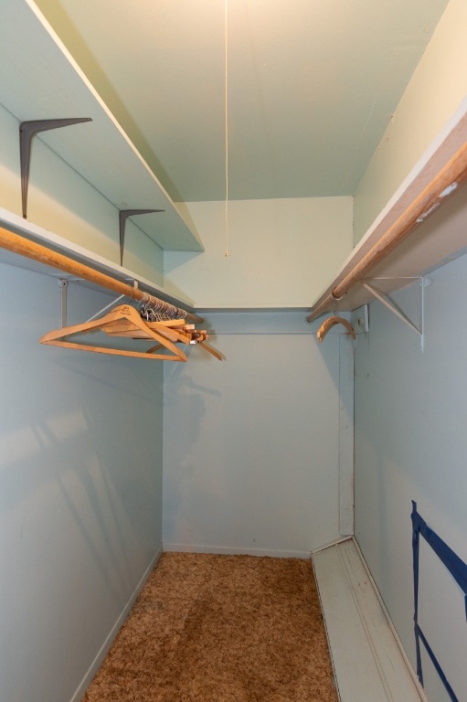 6903 N La Salle Dr, Austin, TX 78723 - walk in closet with carpet flooring