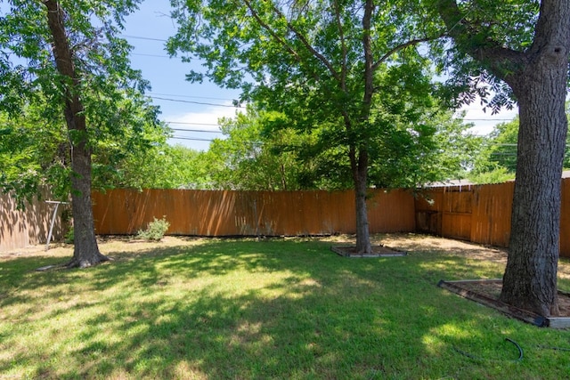 6903 N La Salle Dr, Austin, TX 78723 - view of yard