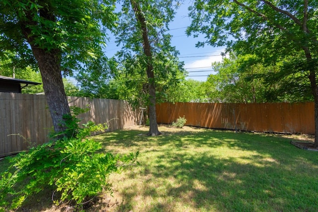 6903 N La Salle Dr, Austin, TX 78723 - view of yard