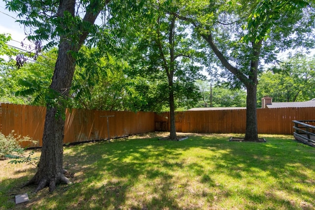 6903 N La Salle Dr, Austin, TX 78723 - view of yard