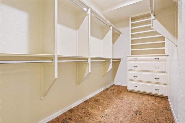 1111 Mill Creek Dr, Salado, TX 76571 - view of spacious closet