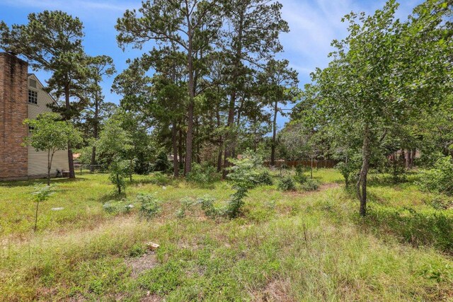126 Kukui Ct, Bastrop, TX 78602 - photo 20