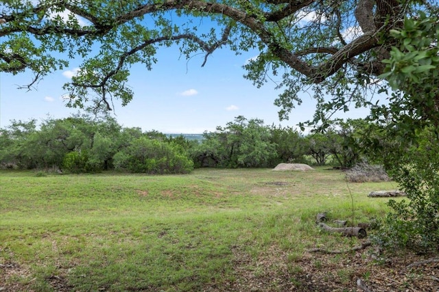 32139 Mirela Anne Rd, Dripping Springs, TX 78620 - photo 2