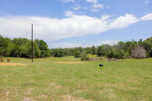 2254 County Road 329, Caldwell, TX 77836