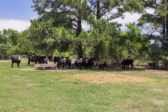 2254 County Road 329, Caldwell, TX 77836