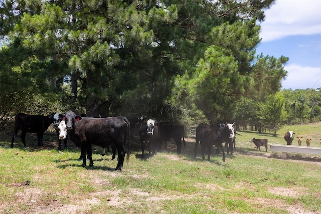 2254 County Road 329, Caldwell, TX 77836
