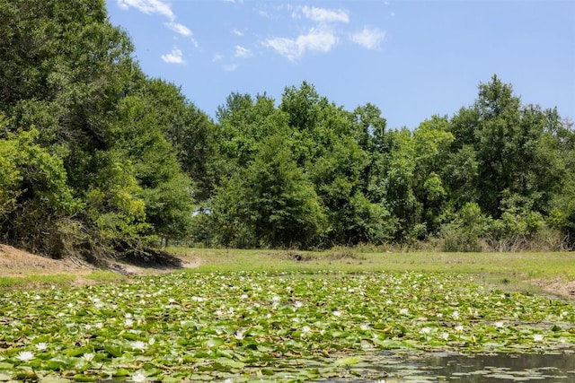 2254 County Road 329, Caldwell, TX 77836