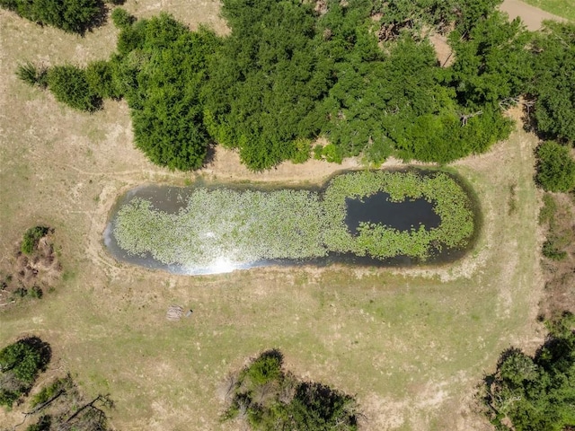 2254 County Road 329, Caldwell, TX 77836