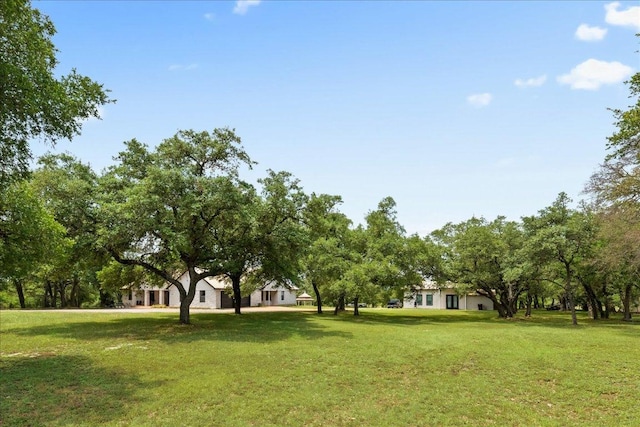 604 Oakwood Dr, Buda, TX 78610 - photo 39