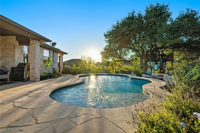 201 Greenridge Ln, Dripping Springs, TX 78620 - swimming pool with a patio area and grilling area