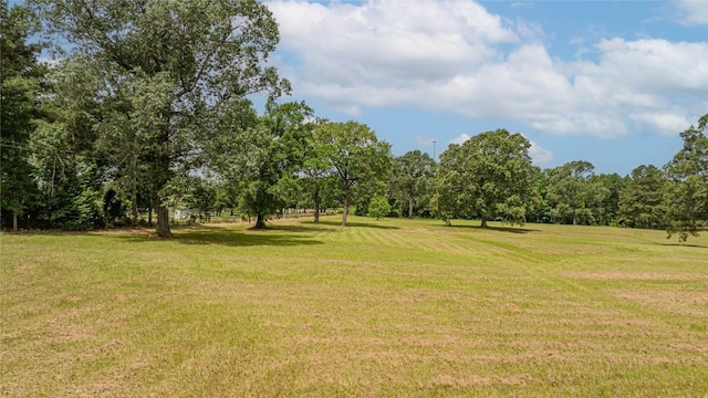 2208 US Highway 96 S, Center, TX 75935 - view of green lawn