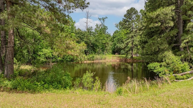 2208 US Highway 96 S, Center, TX 75935 - water view with a forest