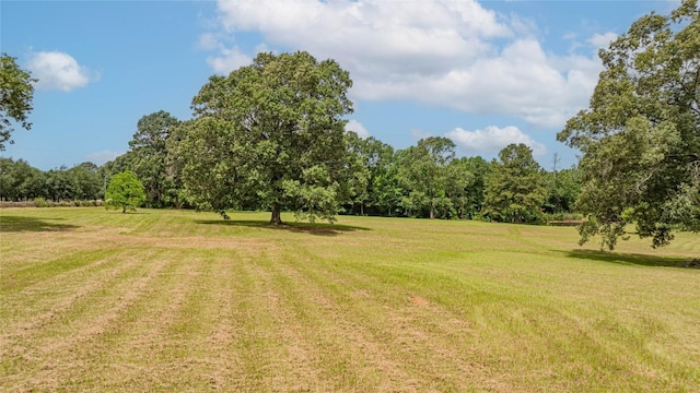 2208 US Highway 96 S, Center, TX 75935 - view of grassy yard