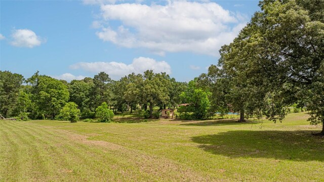 2208 US Highway 96 S, Center, TX 75935 - view of grassy yard