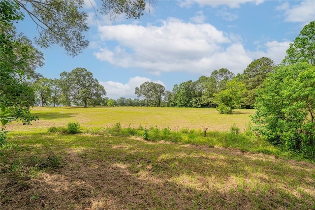2208 US Highway 96 S, Center, TX 75935 - view of local wilderness