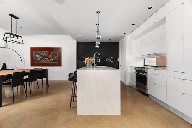 15206 General Williamson Dr, Austin, TX 78734 - kitchen featuring stainless steel range oven, modern cabinets, a sink, and white cabinetry