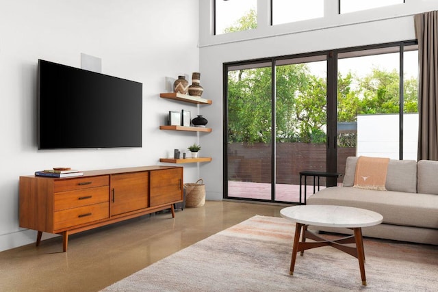 15206 General Williamson Dr, Austin, TX 78734 - living area with a high ceiling