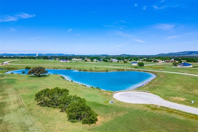 1404 Sandia Loop, Kingsland, TX 78639 - photo 3