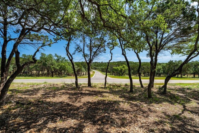 476 Moonridge Ln, Wimberley, TX 78676 - photo 5