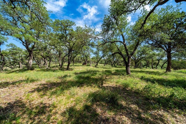 476 Moonridge Ln, Wimberley, TX 78676 - photo 6