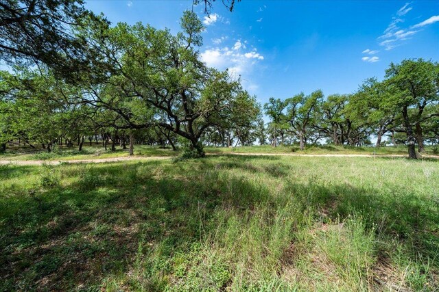 476 Moonridge Ln, Wimberley, TX 78676 - photo 8