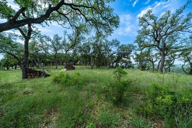 476 Moonridge Ln, Wimberley, TX 78676 - photo 9