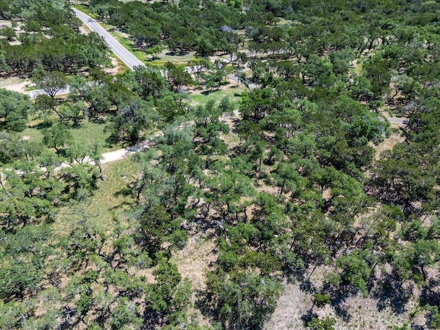 476 Moonridge Ln, Wimberley, TX 78676 - photo 14
