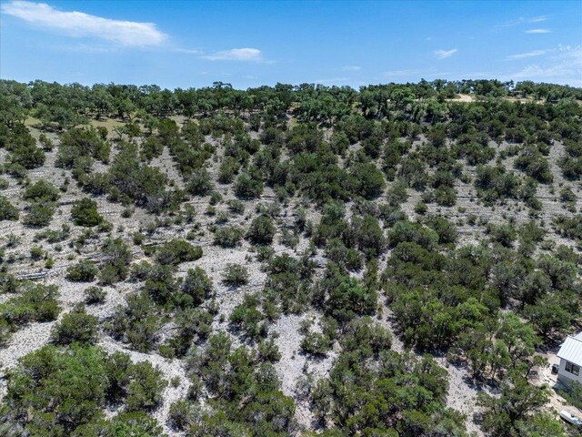 476 Moonridge Ln, Wimberley, TX 78676 - photo 15