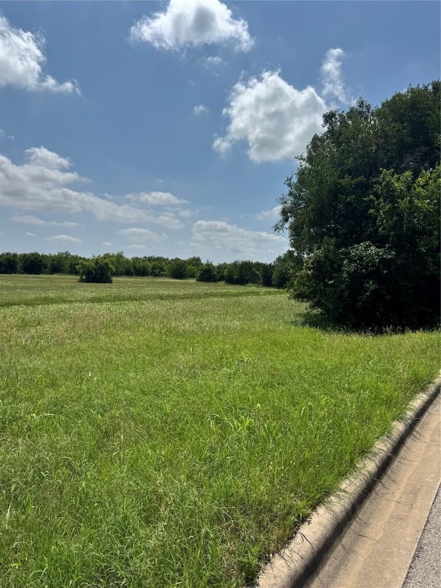 2106 S Pine St, Georgetown, TX 78626 - photo 8