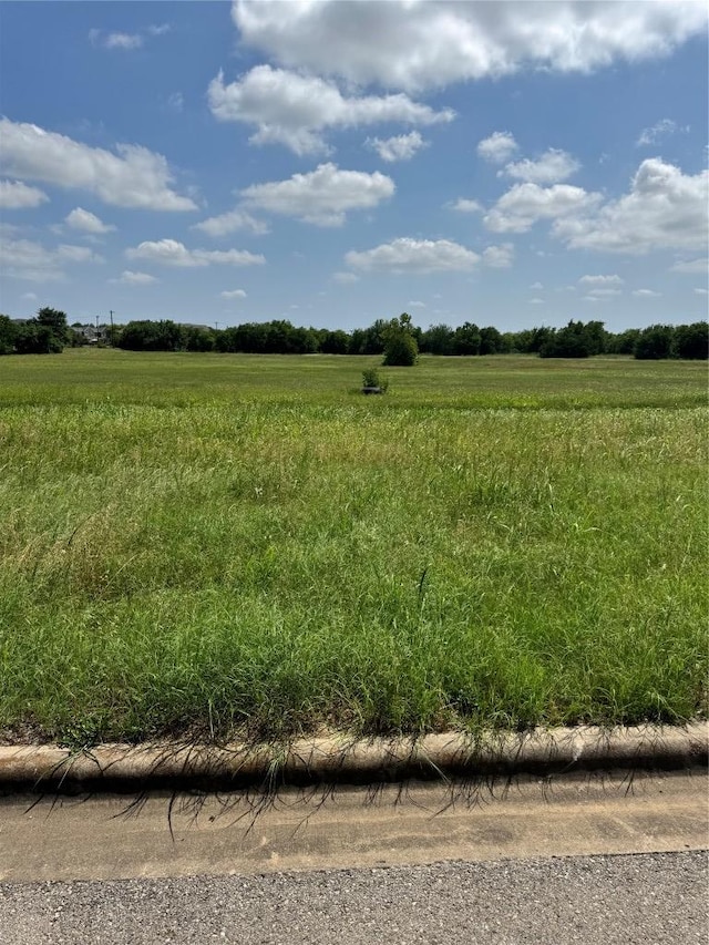 2106 S Pine St, Georgetown, TX 78626 - photo 9