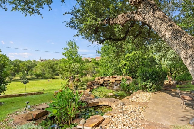 407 Bella Montagna Cir, Austin, TX 78734 - view of grassy yard featuring a patio