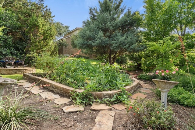 407 Bella Montagna Cir, Austin, TX 78734 - view of yard featuring a vegetable garden
