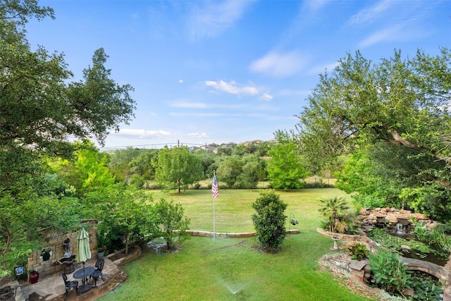 407 Bella Montagna Cir, Austin, TX 78734 - view of green lawn